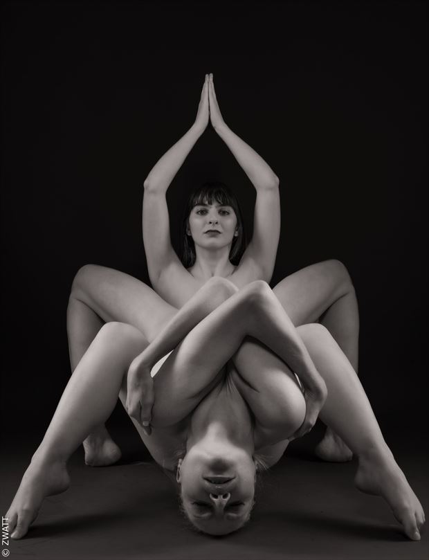 disclosed symmetries ii artistic nude artwork by photographer zwatt