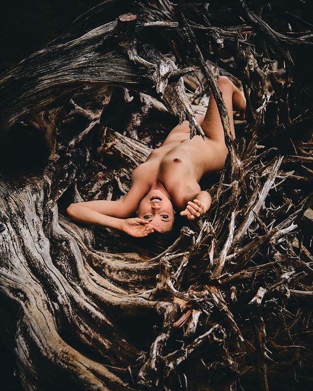 dissolved girl artistic nude photo by photographer robin burch 