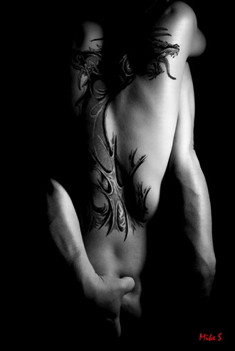 dragon tattoo Tattoos Artwork by Photographer Mike S