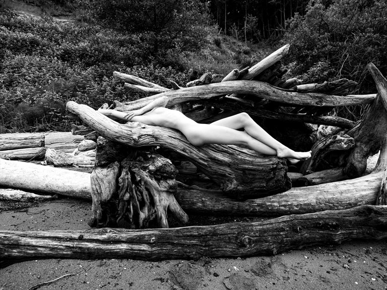 driftwood artistic nude photo by photographer hirez