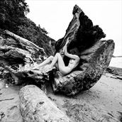 driftwood artistic nude photo by photographer hirez