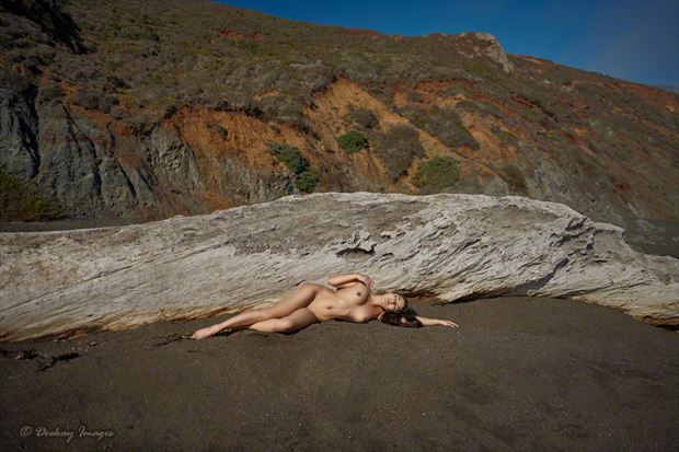 driftwood collosus artistic nude photo by photographer deekay images