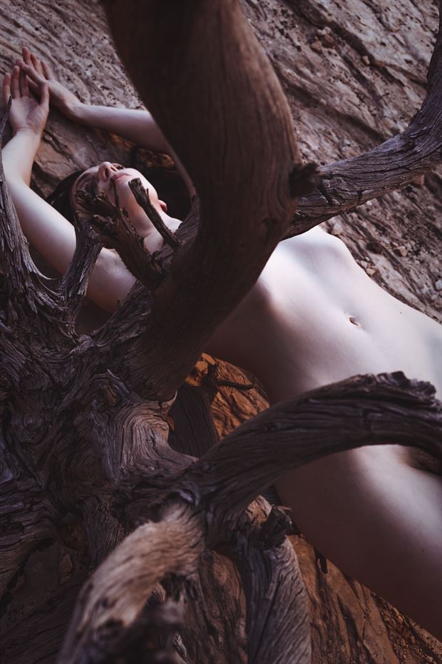 driftwood dryad artistic nude photo by photographer soulcraft