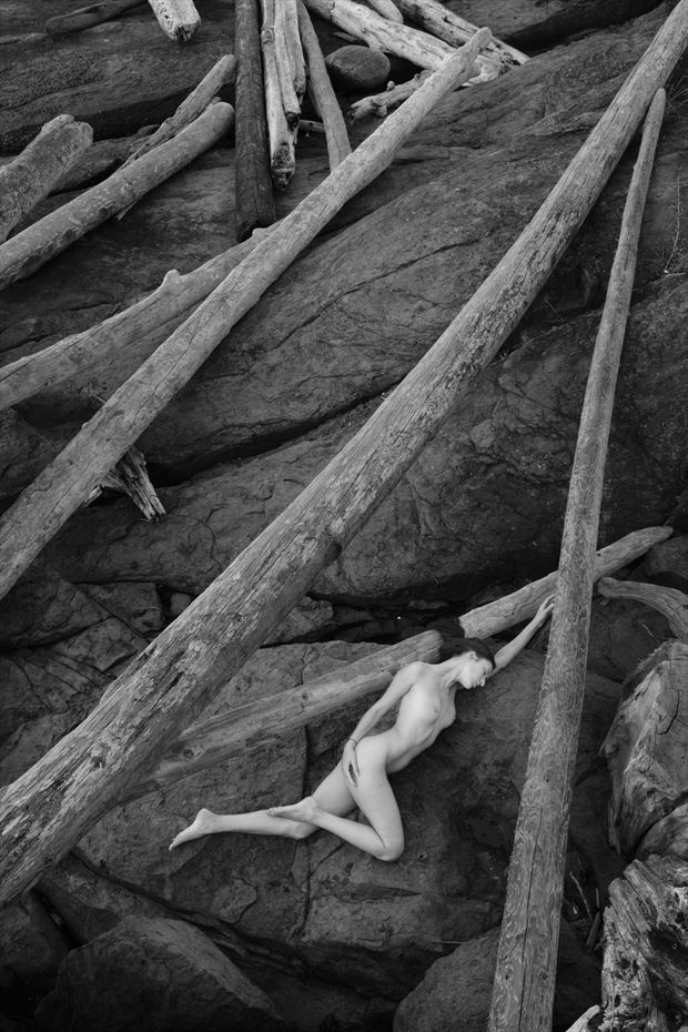 driftwood kate on saltspring artistic nude photo by photographer lightworkx