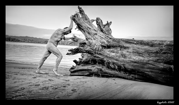 driftwood push 1 artistic nude photo by photographer barry gallegos