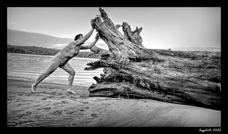 driftwood push 2 artistic nude photo by photographer barry gallegos