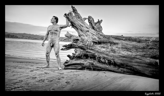 driftwood stance artistic nude photo by photographer barry gallegos