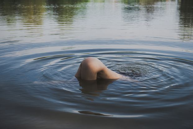 drowning nature photo by artist inglelandi
