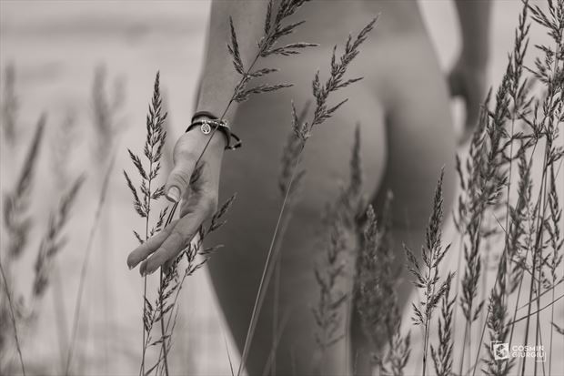 dry grass artistic nude photo by photographer cosmin calin giurgiu