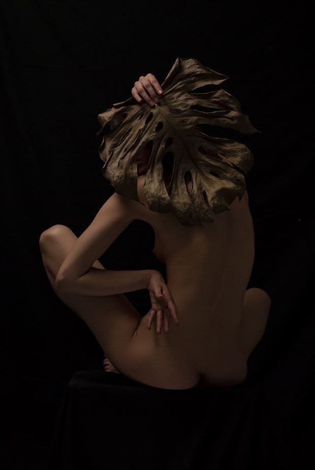 dry monstera artistic nude photo by photographer mondo
