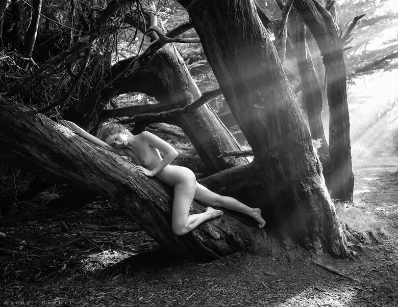 dryad morning artistic nude photo by photographer randall hobbet