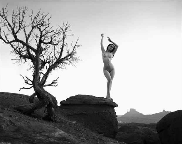 dryad soul artistic nude photo by model muirina fae