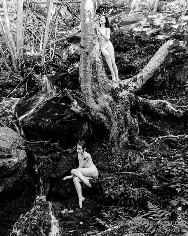 dryads at the falls artistic nude photo by photographer veritas imagery