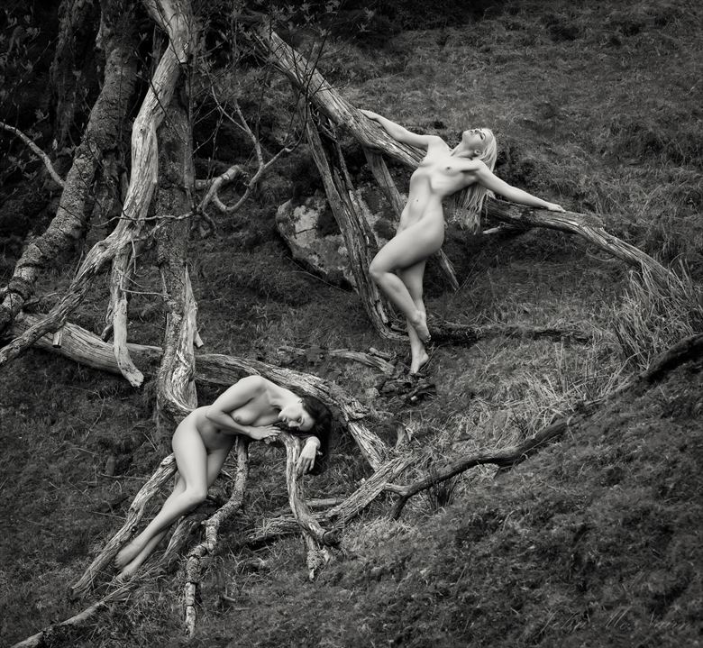 dryads in grief artistic nude photo by photographer john mcnairn