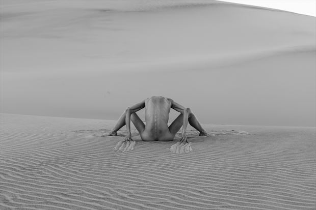 dune creature artistic nude photo by photographer maia