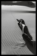 dune figures artistic nude photo by model chantelledigbymodel 