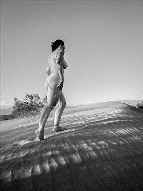 dunes nudes artistic nude photo by photographer mr muze