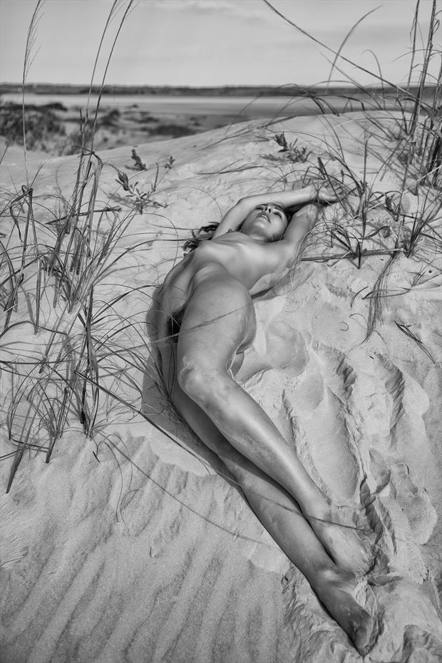dunescape artistic nude photo by photographer longleaf imagery