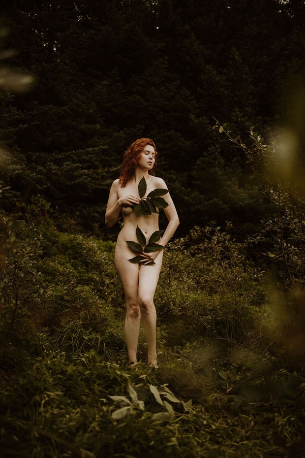 east of eden nature photo by model icelandic selkie