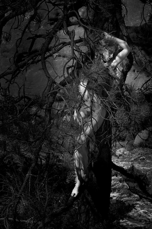 eclipse in forest 2 artistic nude photo by photographer ksm