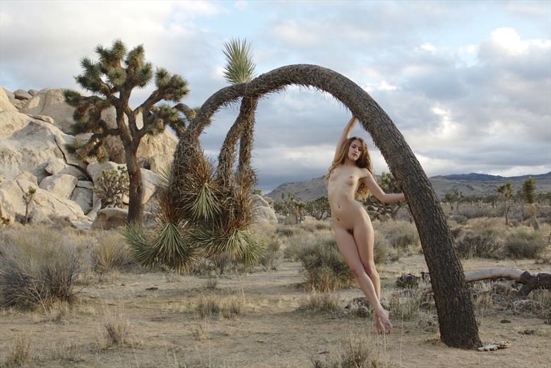 eclipse monday in joshua tree artistic nude photo by photographer jpfphoto