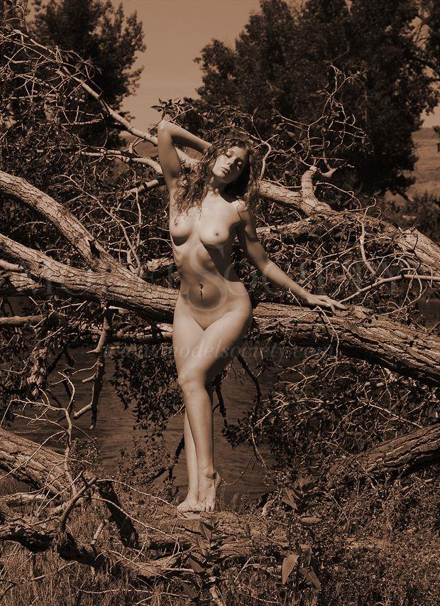 edness kimball wilkins state park wy artistic nude photo by photographer ray valentine