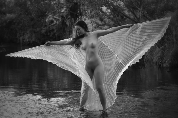 egret artistic nude photo by photographer nostromo images
