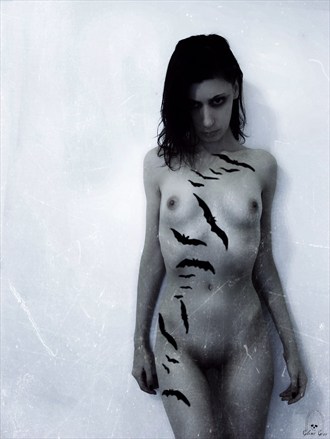 eine Symphonie des Grauens Artistic Nude Artwork by Model Glemt Grav