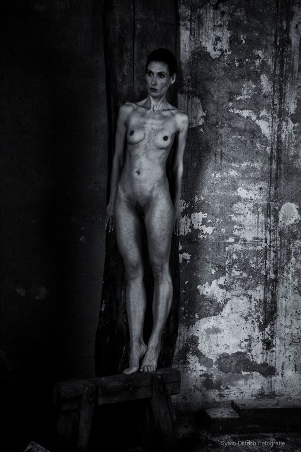 einfach frau artistic nude photo by photographer s dittrich