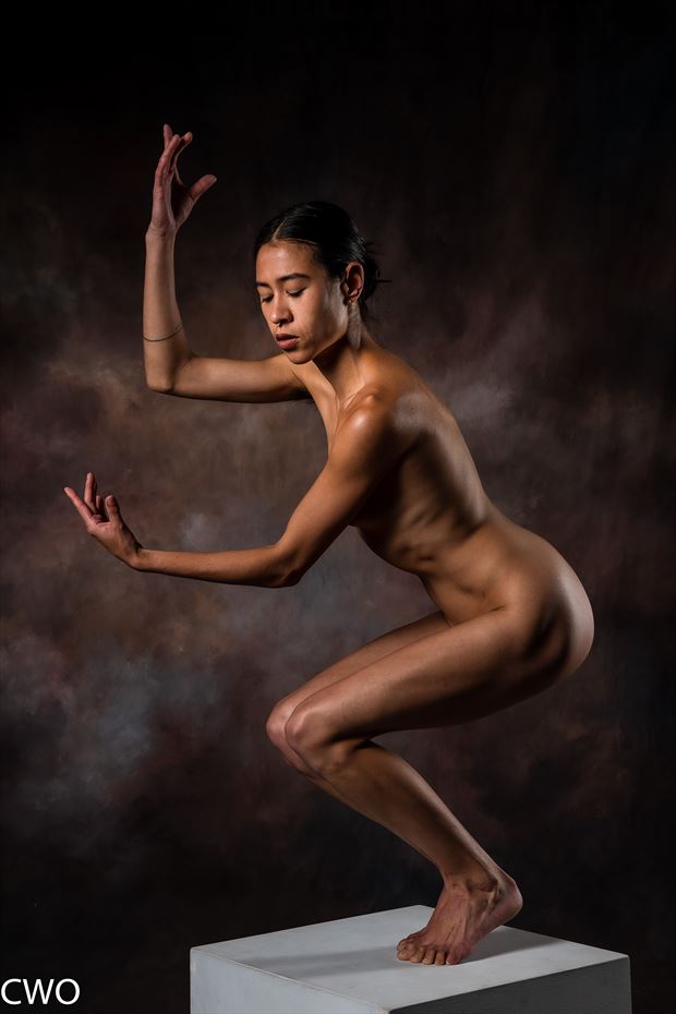 elegance artistic nude photo by photographer charterso