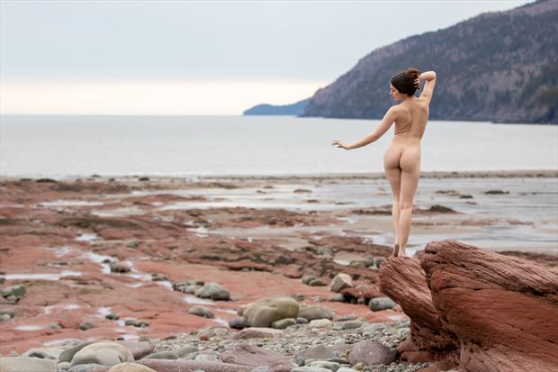 elegant artistic nude photo by photographer korry hill