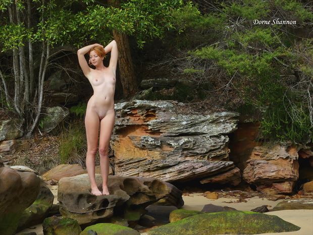 elen artistic nude photo by photographer dorne shannon