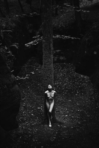 eleonora leans on the trunk with a movement as elegant as the nature that surrounds her artistic nude photo by photographer ugrandolini