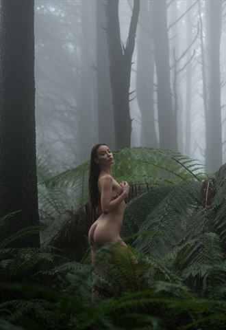 elilith in the mist artistic nude photo by photographer damian diviny