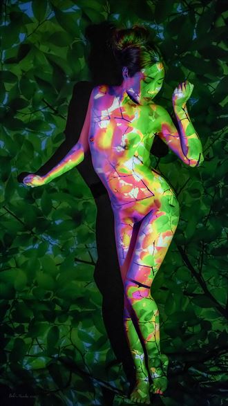 elm artistic nude photo by artist robin cay
