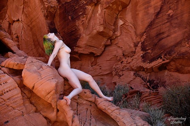 elyse artistic nude photo by photographer shutterbug studio
