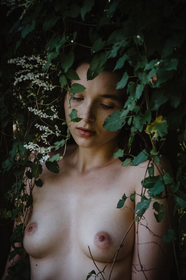 emerging artistic nude photo by photographer michael virts