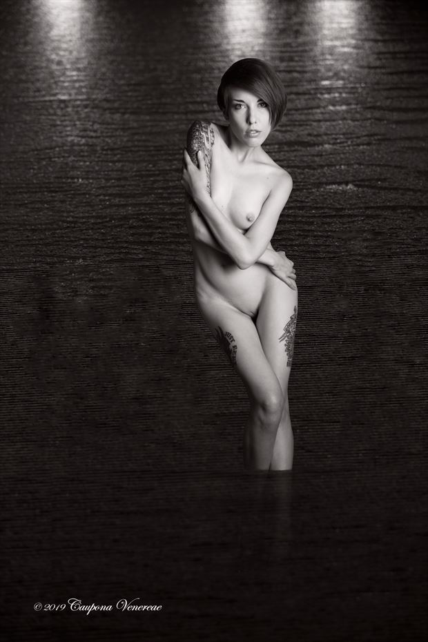emerging from the deep artistic nude photo by photographer cauponavenereae