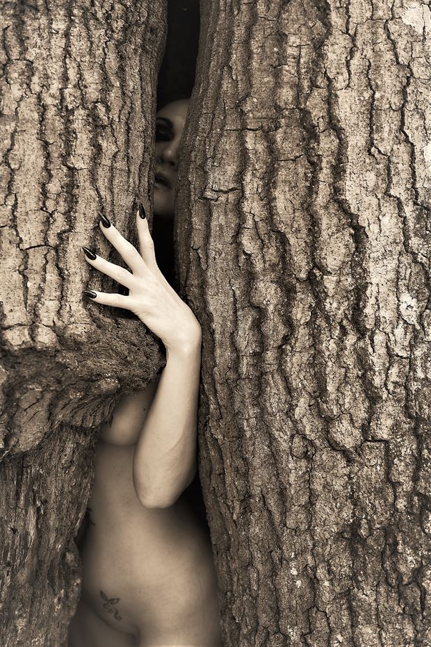 emily wood artistic nude artwork by photographer daniel tirrell photo