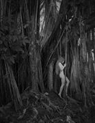enchanted forest artistic nude photo by photographer vivid impressions