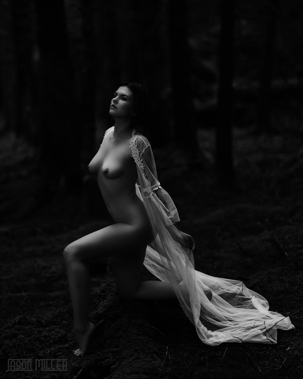 enchanted woods artistic nude photo by photographer jasonmiller