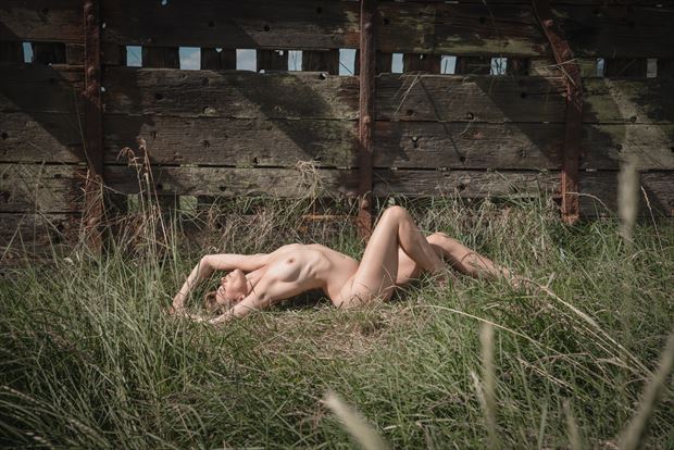 english summer beauty 4 artistic nude photo by photographer colin dixon