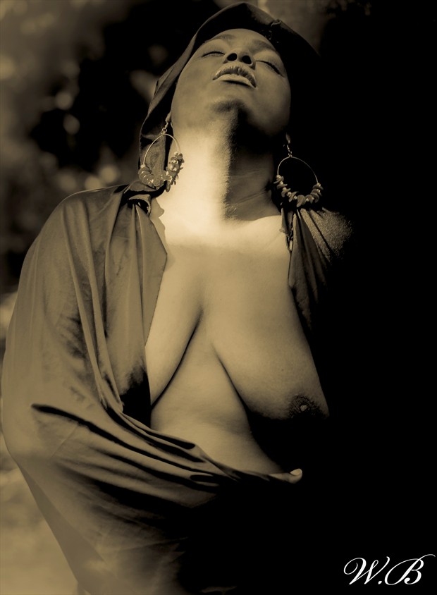 enigma Artistic Nude Photo by Photographer PlenitudePhotography