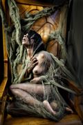 entangled iii artistic nude photo by artist kevin stiles