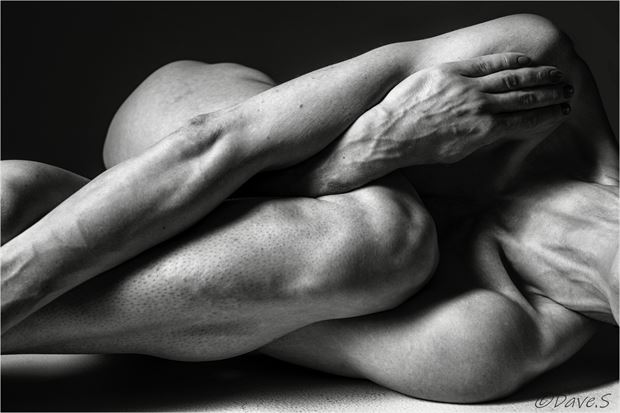 entwined artistic nude photo by photographer uwtog