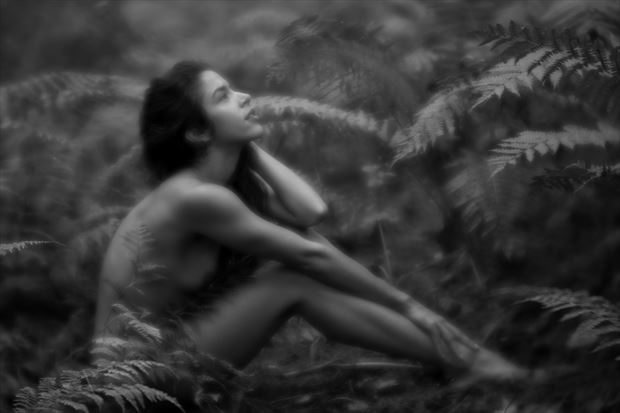 eva amongst ferns artistic nude photo by photographer autumnbearphoto
