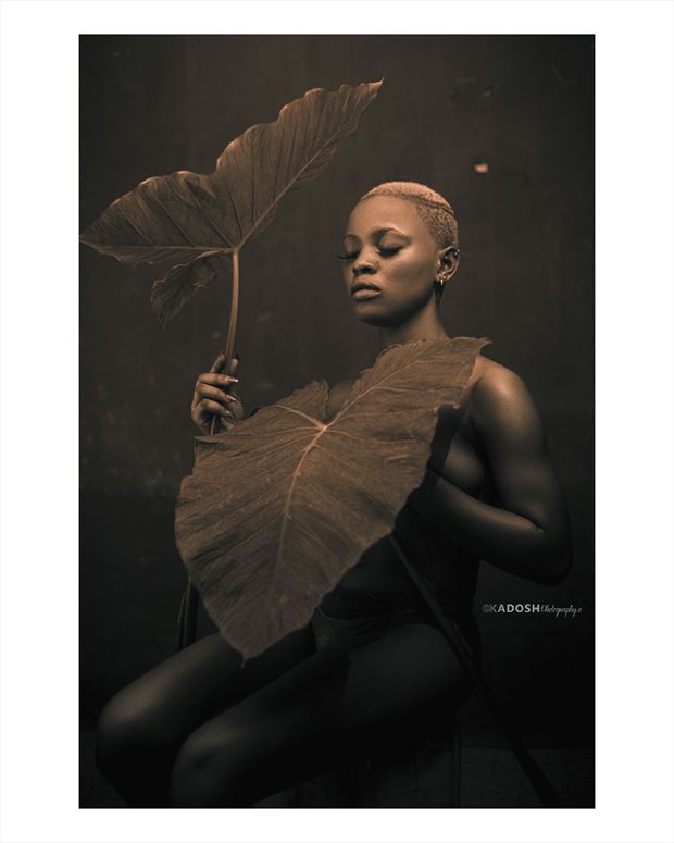 eve abstract artwork by photographer kdshades 
