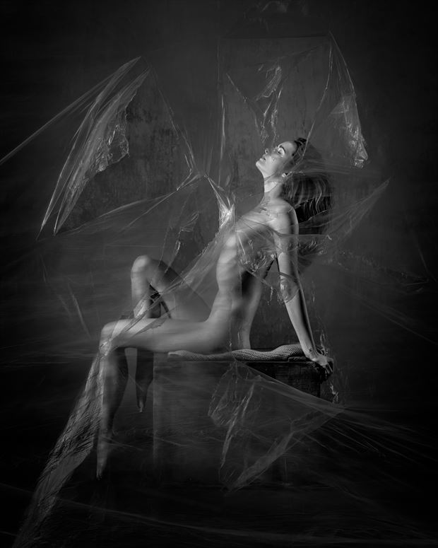 evelyn sommer artistic nude photo by photographer ncp photography