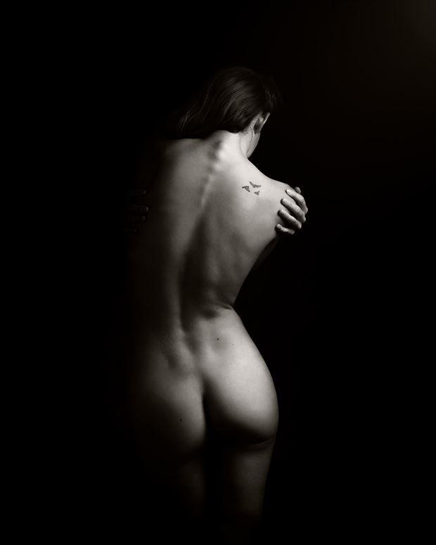 evelyn sommers artistic nude photo by photographer ncp photography