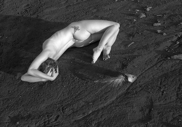 evolution, divergence, and parsimony Artistic Nude Photo by Photographer Knomad